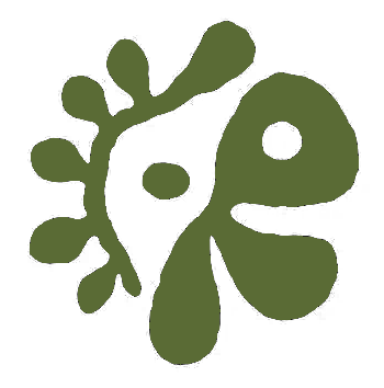 CORTIS COER ID logo